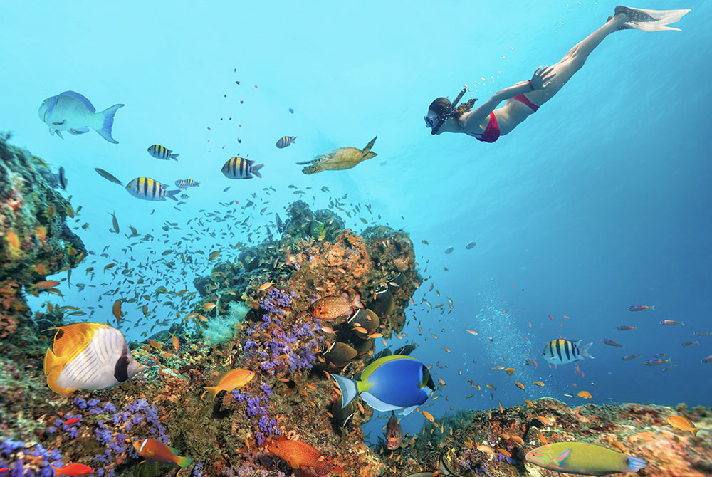 Snorkeling depuis le voilier